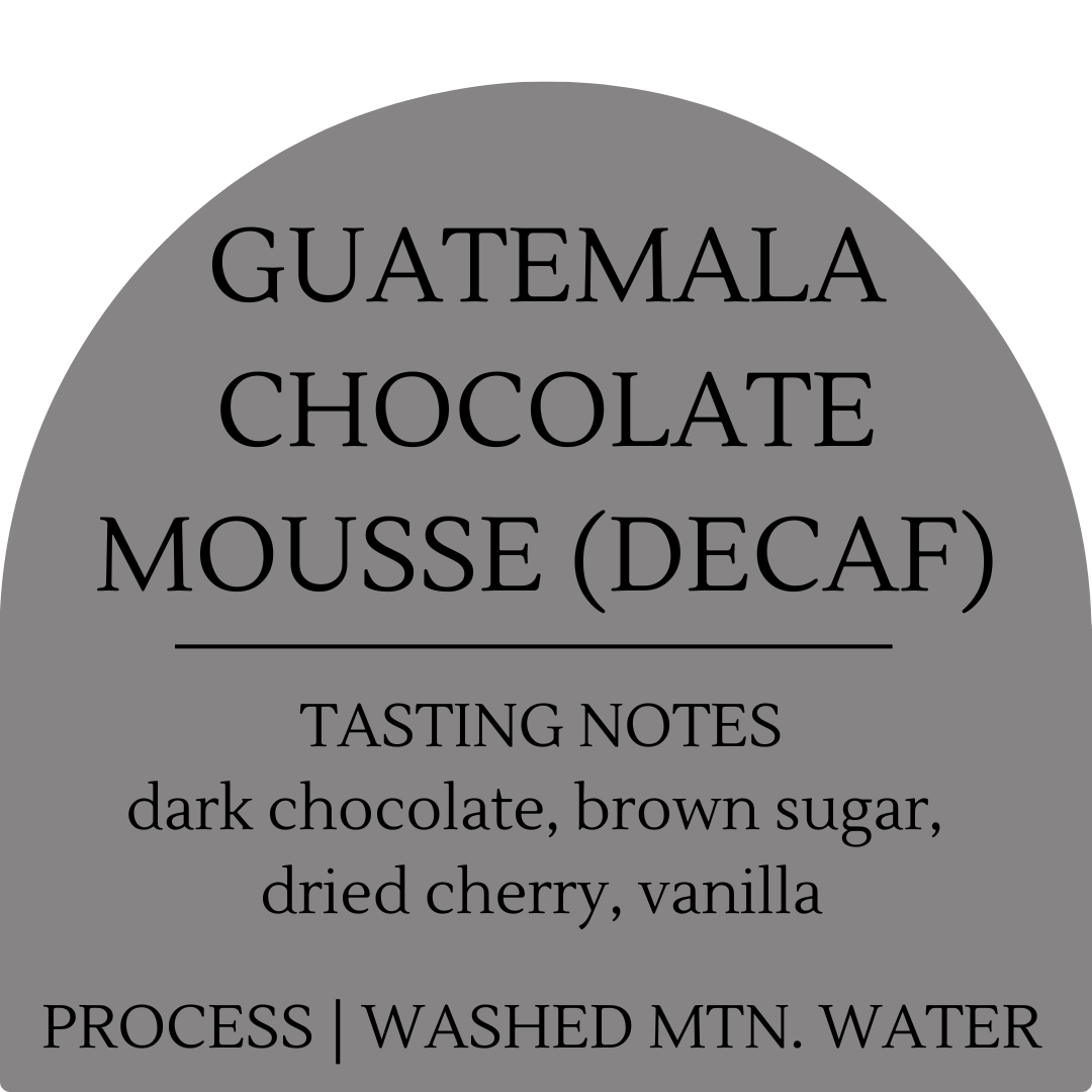 Guatemala Chocolate Mousse Wholesale(Filter)